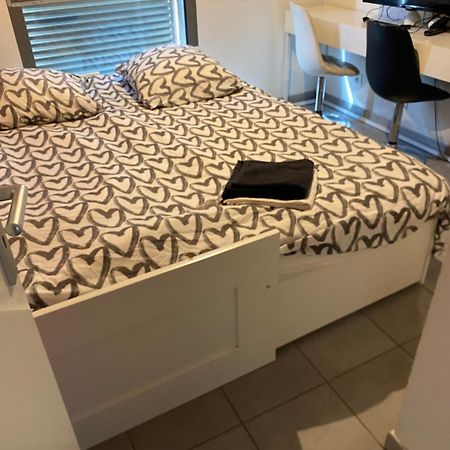 Superbe Appartement Avec Terrasse Toulouse Kültér fotó